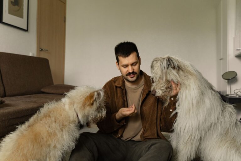 Pourquoi les animaux de compagnie sont-ils aussi magiques ?