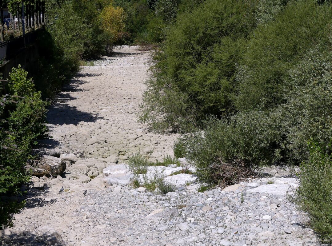 Aider la faune sauvage quand les réserves d’eau baissent
