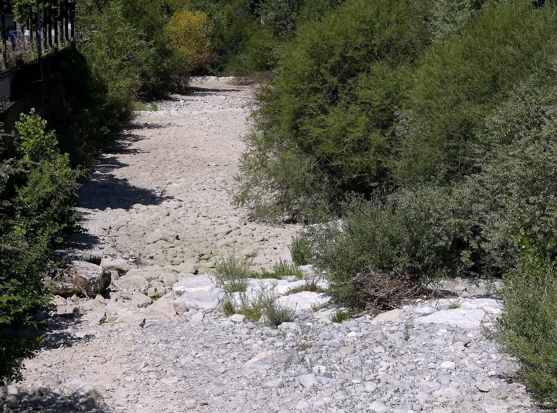 Aider la faune sauvage quand les réserves d’eau baissent