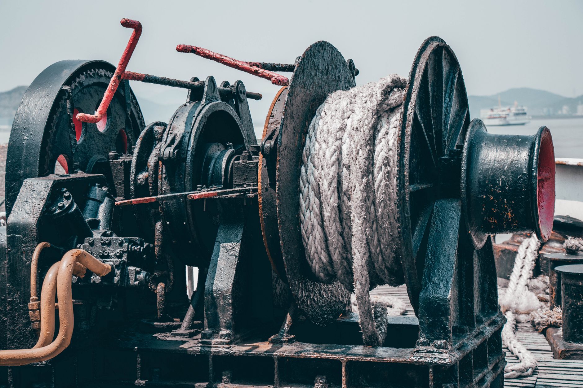 Sous les océans, la fibre optique entend aussi les baleines